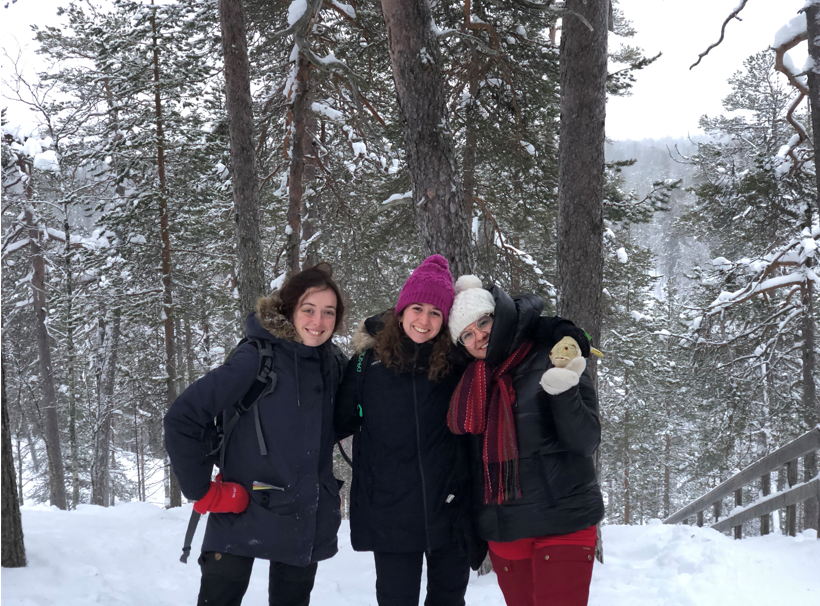 Laponia excursión raquetas de nieve bosque nevado